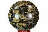 Polished Que Sera Stone Sphere - Brazil #112540-1